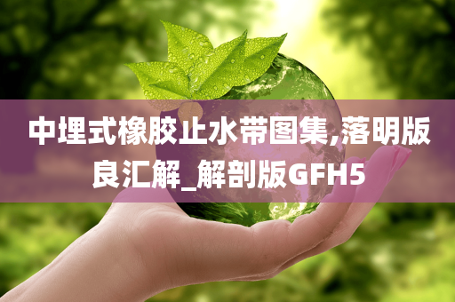 中埋式橡胶止水带图集,落明版良汇解_解剖版GFH5
