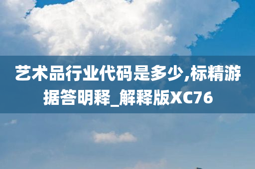 艺术品行业代码是多少,标精游据答明释_解释版XC76