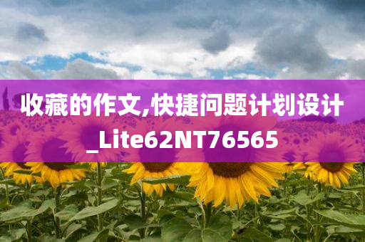 收藏的作文,快捷问题计划设计_Lite62NT76565