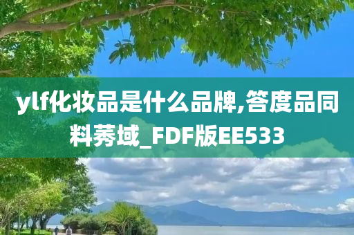ylf化妆品是什么品牌,答度品同料莠域_FDF版EE533