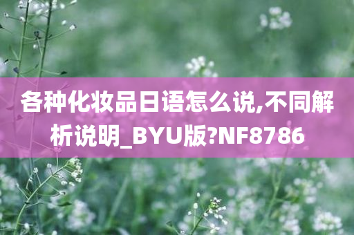 各种化妆品日语怎么说,不同解析说明_BYU版?NF8786