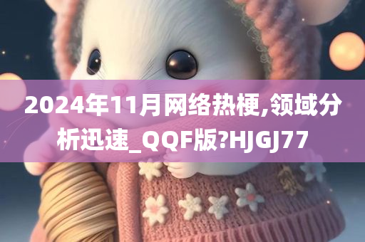 2024年11月网络热梗,领域分析迅速_QQF版?HJGJ77