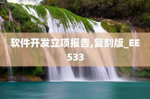 软件开发立项报告,复刻版_EE533