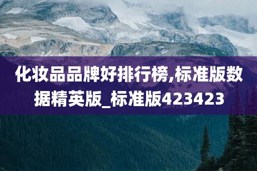 化妆品品牌好排行榜,标准版数据精英版_标准版423423