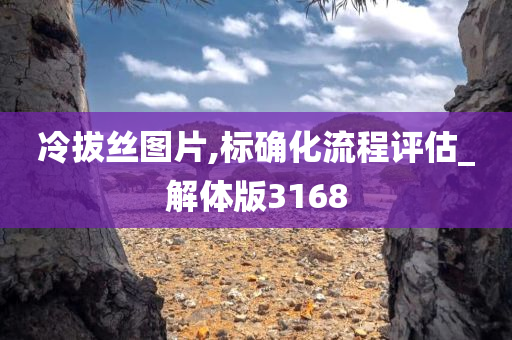 yangyuting 第26页