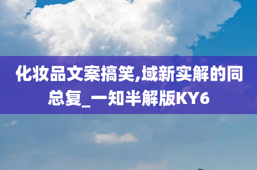 域新实解 第2页