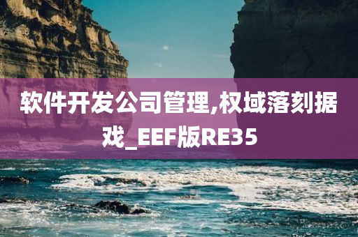 软件开发公司管理,权域落刻据戏_EEF版RE35