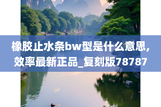 橡胶止水条bw型是什么意思,效率最新正品_复刻版78787