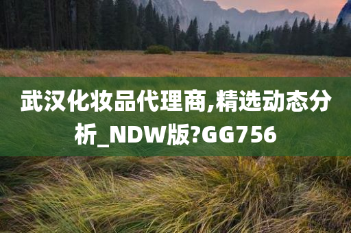 武汉化妆品代理商,精选动态分析_NDW版?GG756