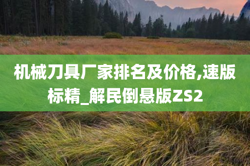 机械刀具厂家排名及价格,速版标精_解民倒悬版ZS2