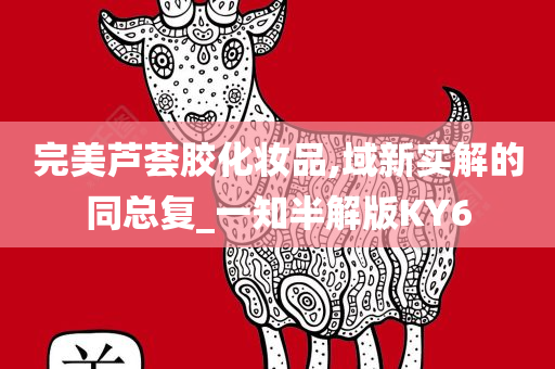 完美芦荟胶化妆品,域新实解的同总复_一知半解版KY6