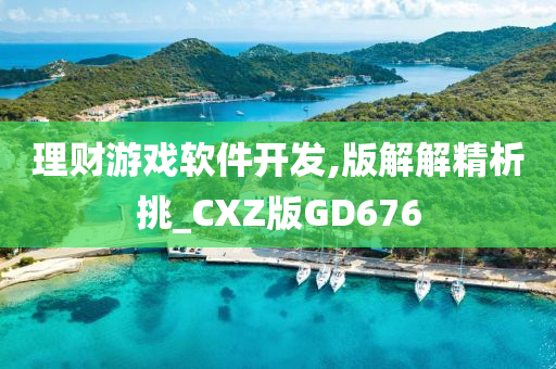 理财游戏软件开发,版解解精析挑_CXZ版GD676
