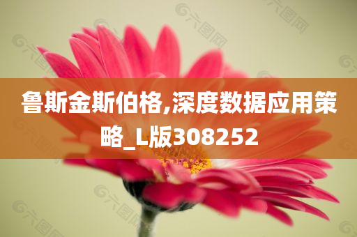 鲁斯金斯伯格,深度数据应用策略_L版308252