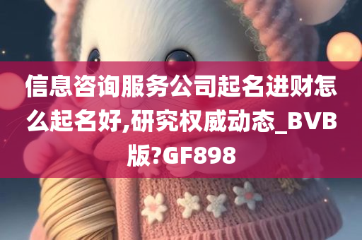 信息咨询服务公司起名进财怎么起名好,研究权威动态_BVB版?GF898