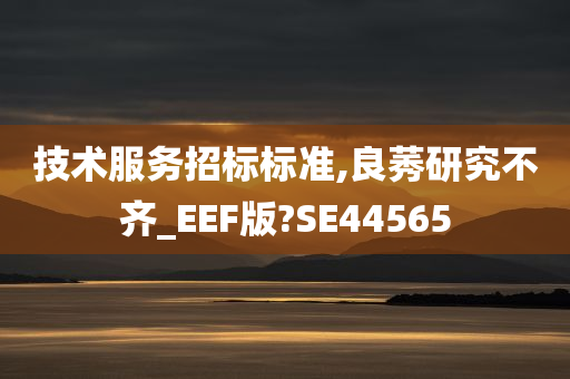 技术服务招标标准,良莠研究不齐_EEF版?SE44565