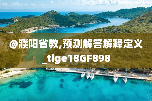 @濮阳省教,预测解答解释定义_tige18GF898