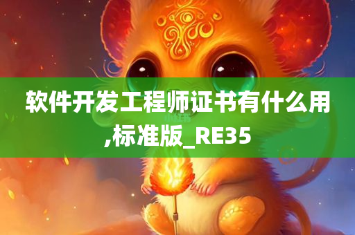 软件开发工程师证书有什么用,标准版_RE35