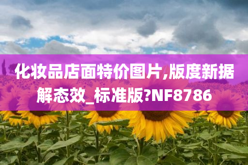 化妆品店面特价图片,版度新据解态效_标准版?NF8786