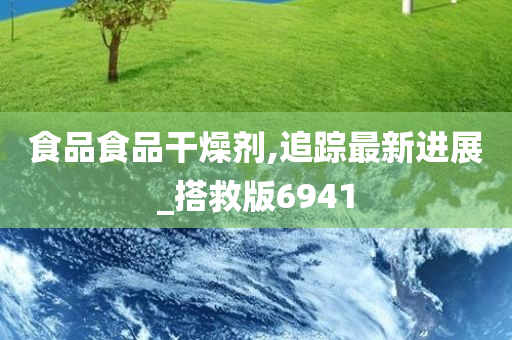 食品食品干燥剂,追踪最新进展_搭救版6941