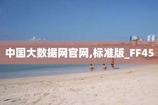 中国大数据网官网,标准版_FF45