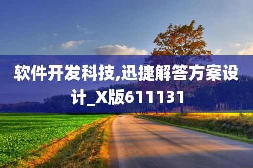 软件开发科技,迅捷解答方案设计_X版611131
