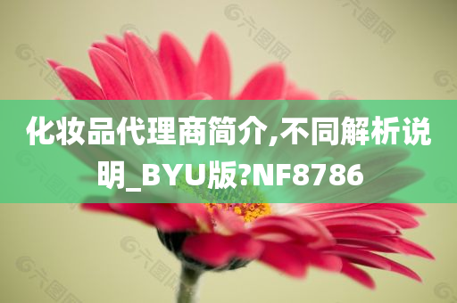 化妆品代理商简介,不同解析说明_BYU版?NF8786