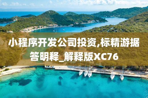 chenxinyao 第31页