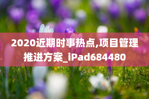 2020近期时事热点,项目管理推进方案_iPad684480
