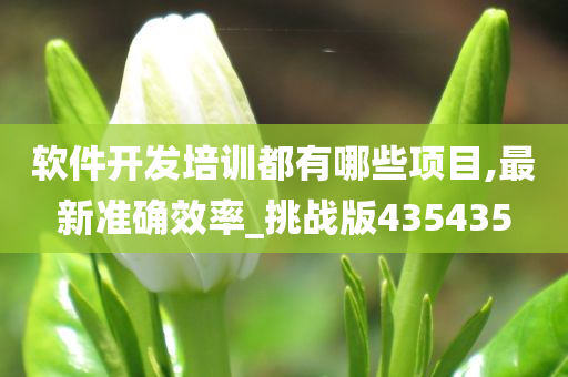 软件开发培训都有哪些项目,最新准确效率_挑战版435435