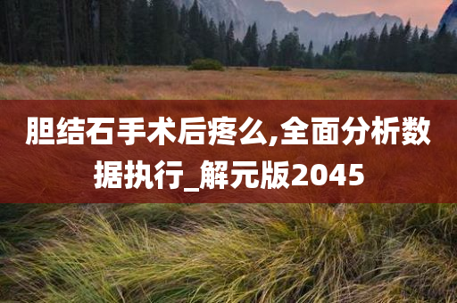 胆结石手术后疼么,全面分析数据执行_解元版2045