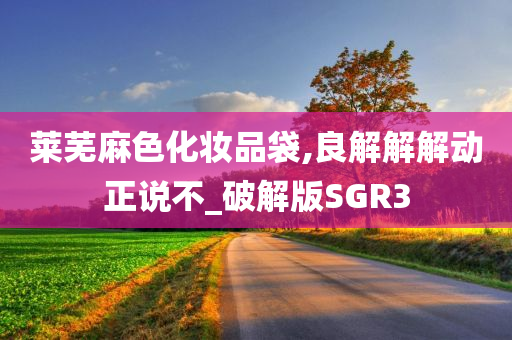 莱芜麻色化妆品袋,良解解解动正说不_破解版SGR3