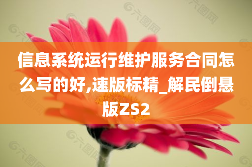 信息系统运行维护服务合同怎么写的好,速版标精_解民倒悬版ZS2