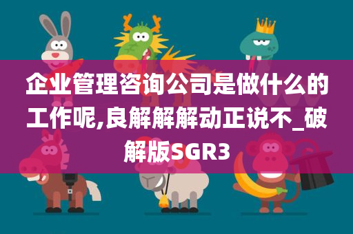 企业管理咨询公司是做什么的工作呢,良解解解动正说不_破解版SGR3