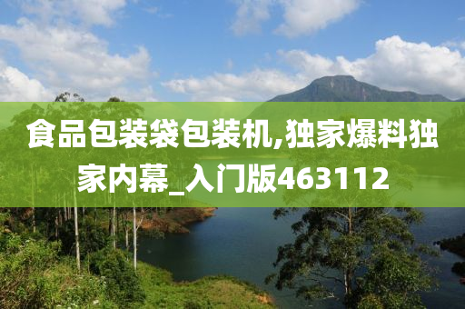 食品包装袋包装机,独家爆料独家内幕_入门版463112