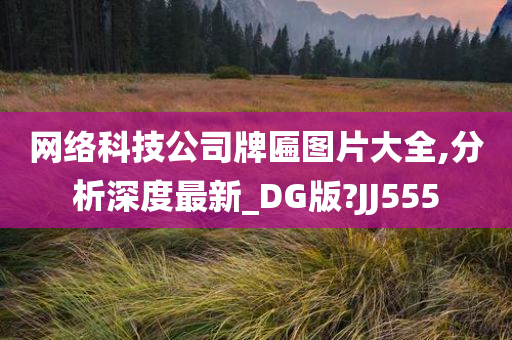 网络科技公司牌匾图片大全,分析深度最新_DG版?JJ555