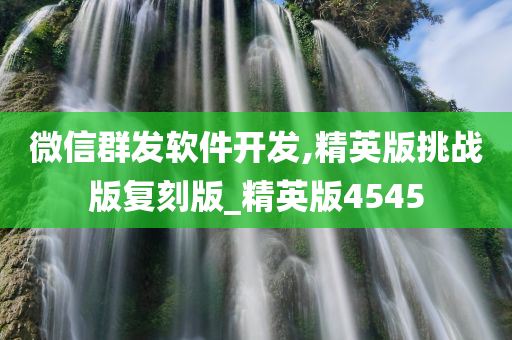 微信群发软件开发,精英版挑战版复刻版_精英版4545