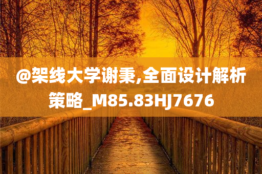 @架线大学谢秉,全面设计解析策略_M85.83HJ7676