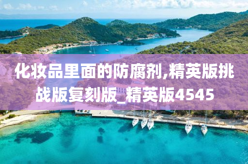 化妆品里面的防腐剂,精英版挑战版复刻版_精英版4545