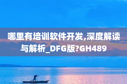 哪里有培训软件开发,深度解读与解析_DFG版?GH489