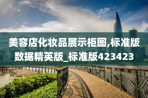 美容店化妆品展示柜图,标准版数据精英版_标准版423423