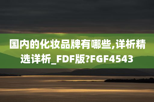 国内的化妆品牌有哪些,详析精选详析_FDF版?FGF4543