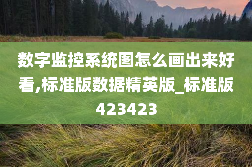 数字监控系统图怎么画出来好看,标准版数据精英版_标准版423423