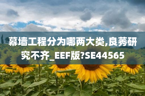 幕墙工程分为哪两大类,良莠研究不齐_EEF版?SE44565