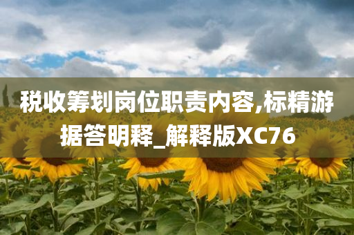 税收筹划岗位职责内容,标精游据答明释_解释版XC76