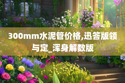 300mm水泥管价格,迅答版领与定_浑身解数版