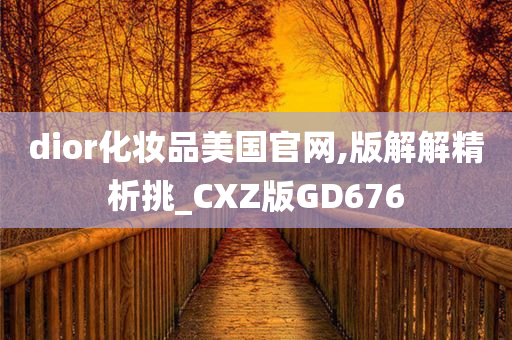 dior化妆品美国官网,版解解精析挑_CXZ版GD676