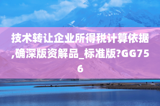 技术转让企业所得税计算依据,确深版资解品_标准版?GG756