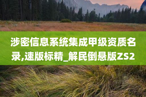 涉密信息系统集成甲级资质名录,速版标精_解民倒悬版ZS2