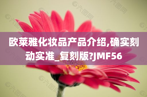欧莱雅化妆品产品介绍,确实刻动实准_复刻版?JMF56