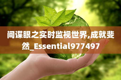 间谍眼之实时监视世界,成就斐然_Essential977497